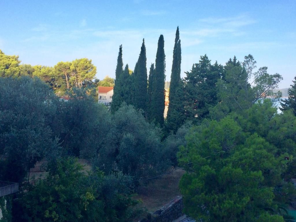 Апартаменты Harmony Свети-Стефан